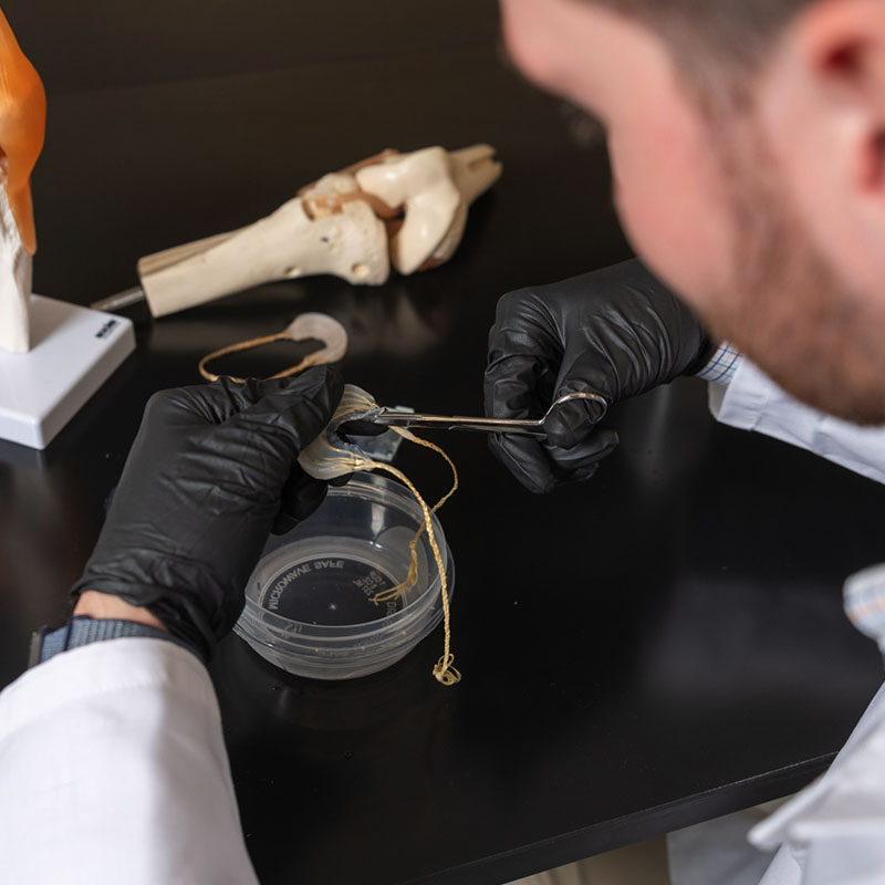 A researcher wearing black gloves uses tools to manipulate a sample over a Petri dish, with an anatomical knee model on the table nearby.
