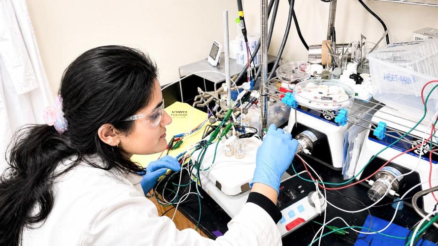 Anuja Tripathi works in the lab
