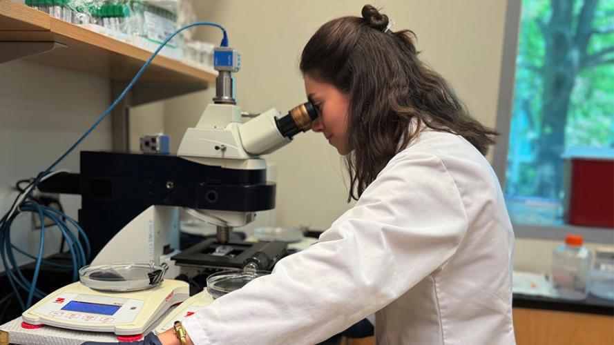 A woman in a laboratory wearing a white lab coat looks through a microscope on a benchtop. Petri dishes and a digital scale sit nearby, with lab supplies and equipment arranged on shelves and counters. A window in the background shows greenery outside, and cables connect the microscope to nearby devices.